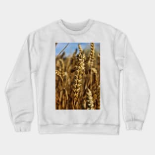 Ear of wheat Crewneck Sweatshirt